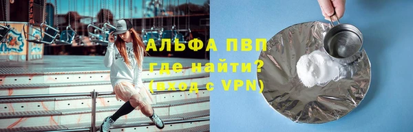 прущие грибы Алзамай