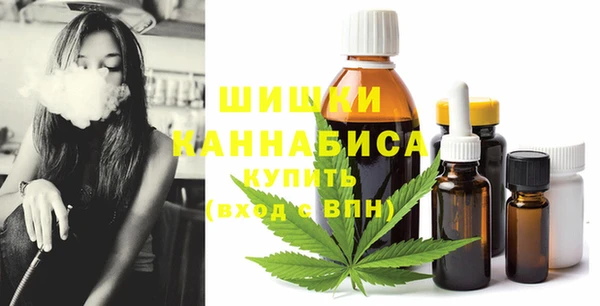 прущие грибы Алзамай