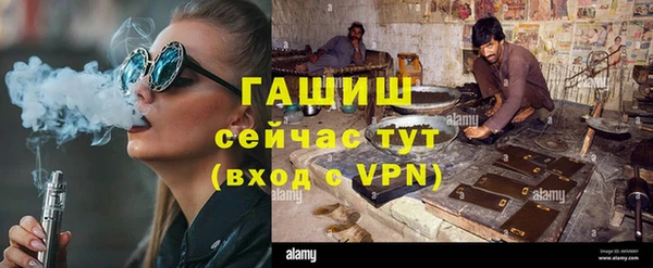 прущие грибы Алзамай