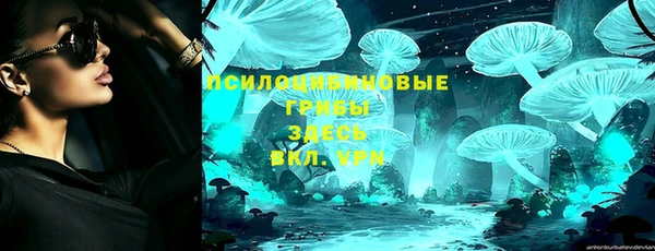 прущие грибы Алзамай