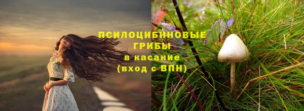 мескалин Алексин