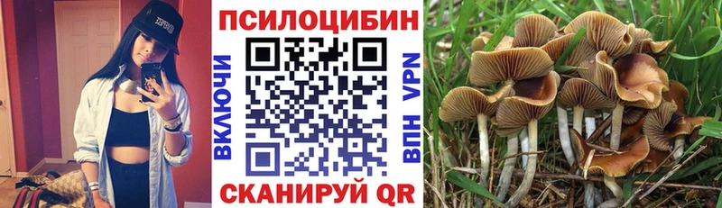 наркотики  Феодосия  Псилоцибиновые грибы Psilocybe 